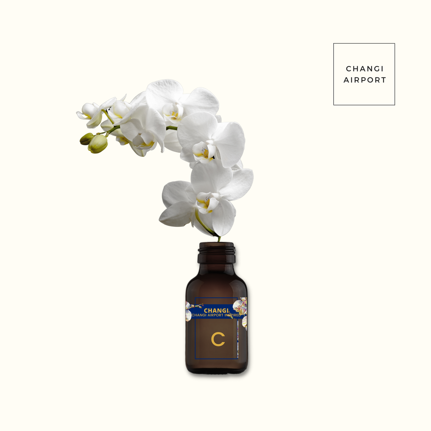 Changi Pure Aromatherapy Essential Oil